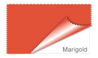 Marigold