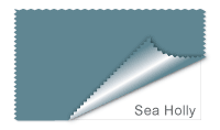 Sea Holly