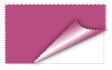 Raspberry Sorbet Color Swatch