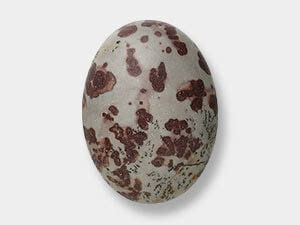 Crazy Horse Stone Cabochons