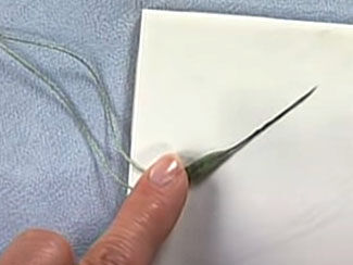 Making a Silk Thread Needle