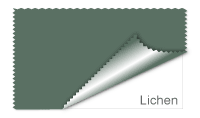 Lichen