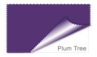 Plum Tree