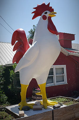 Giant chicken statue