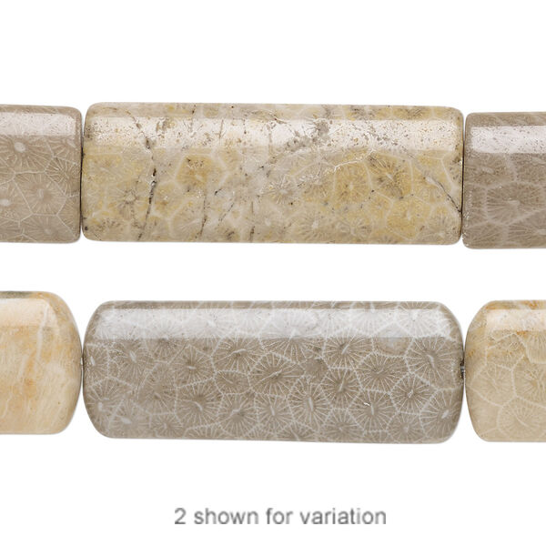 Fossil coral 1pkg1, puffed rectangle bead natural B grade, 15.5-16 inch 40x15mm image number 0