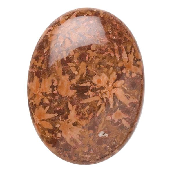 Brown chrysanthemum stone 1pkg1, calibrated oval cab natural 40x30mm image number 0