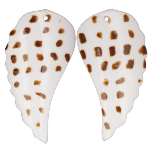 Focal, tiger cowrie shell (natural), 39x21mm-42x22mm single-sided hand-cut carved wing, Mohs hardness 3-1/2. Sold per pkg of 2. image number 0