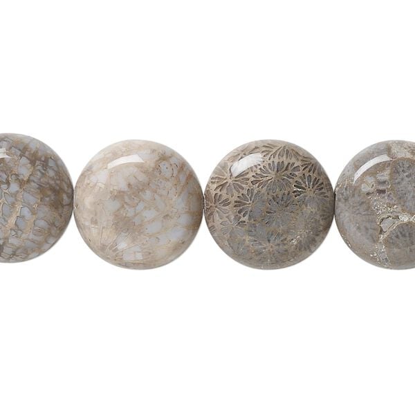 Fossil coral 1pkg1, flat hand-cut flat round bead natural 15.5-16 inch 14mm image number 0
