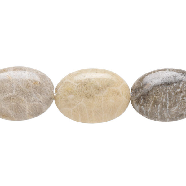 Fossil coral 1pkg1, flat oval bead natural B grade, 15.5-16 inch 18x13mm image number 0