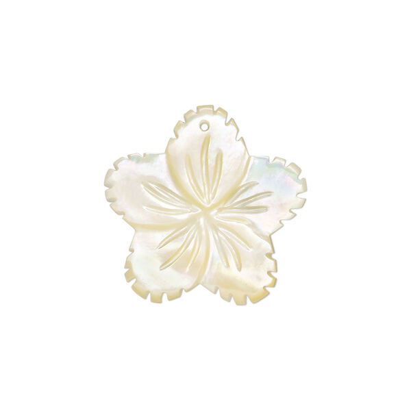 Gold lip shell 1pkg2, flower drop natural 19-21mm image number 0