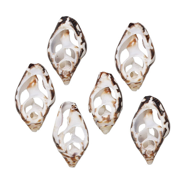 Component, tiger nassa shell (natural), 14x8mm-18x12mm hand-cut cross section, Mohs hardness 3-1/2. Sold per pkg of 6. image number 0