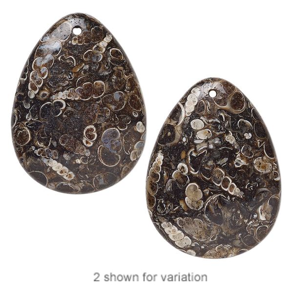 Turritella agate 1pkg1, puffed teardrop focal 40x30mm image number 0