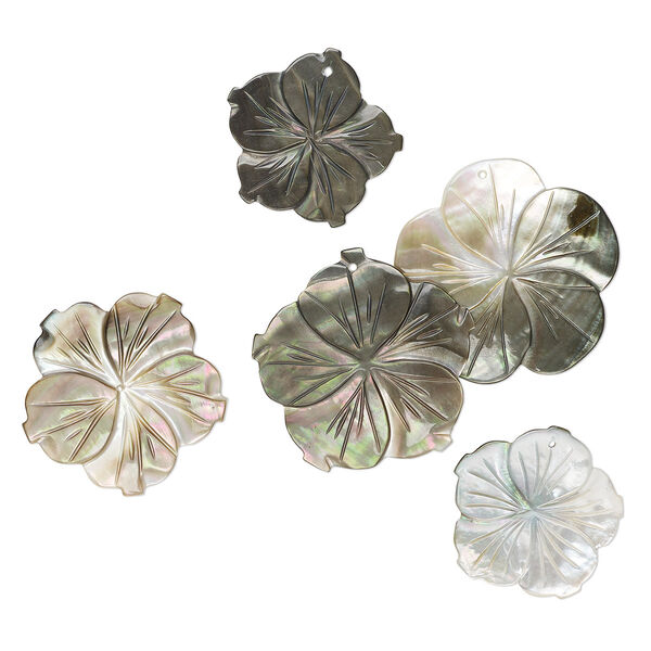 Drop mix, black lip shell and golden lip shell (natural), 21-40mm top- / center- / undrilled carved flower, Mohs hardness 3-1/2. Sold per pkg of 5. image number 0