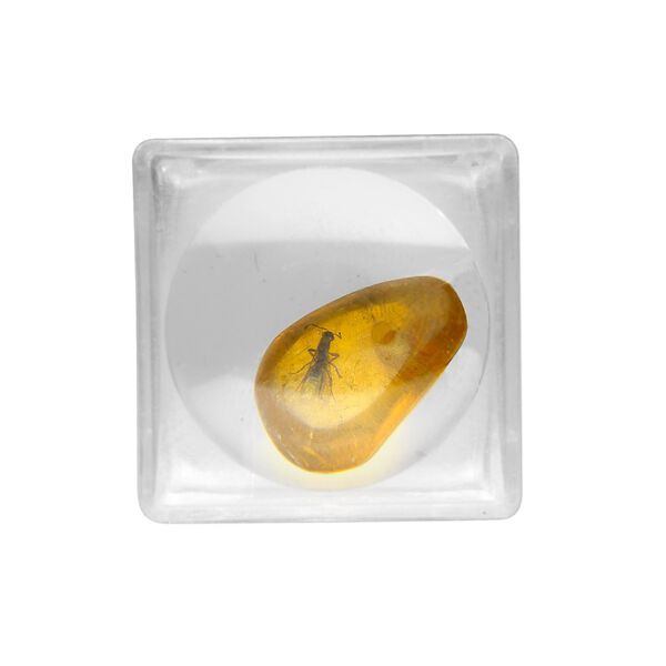 Amber 1pkg1, hand-cut freeform nugget drop natural 9x8mm-13x11mm image number 0