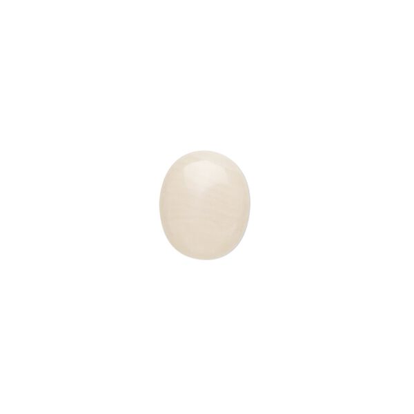 Cabochon, bamboo coral (bleached), white, 12x10mm calibrated oval, Mohs hardness 3-1/2 to 4. Sold per pkg of 2. image number 0