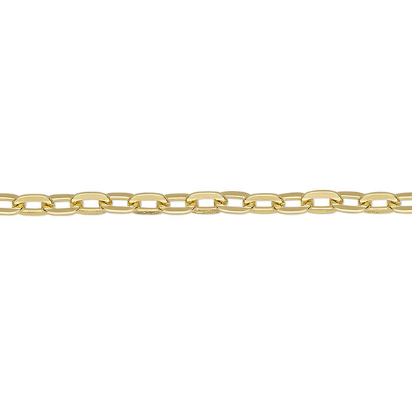 Chain, anodized aluminum, gold, 3.1mm flat cable. Sold per pkg of 25 feet. image number 0