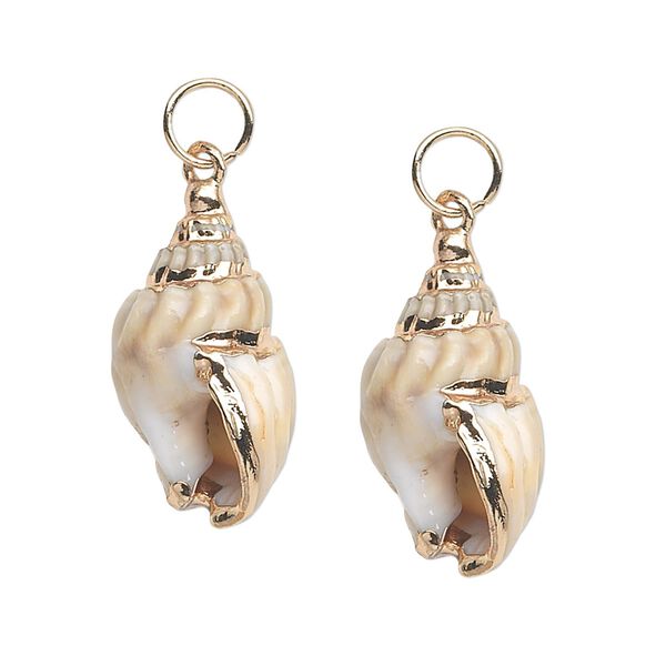 Focal, nassa shell (natural) and gold-finished steel, white / light brown / dark brown, 31x17mm. Sold per pkg of 2. image number 0
