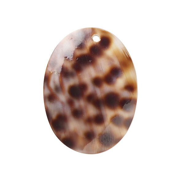 Focal, tiger cowrie shell (natural), 30x22mm oval Mohs hardness 3-1/2. Sold individually. image number 0