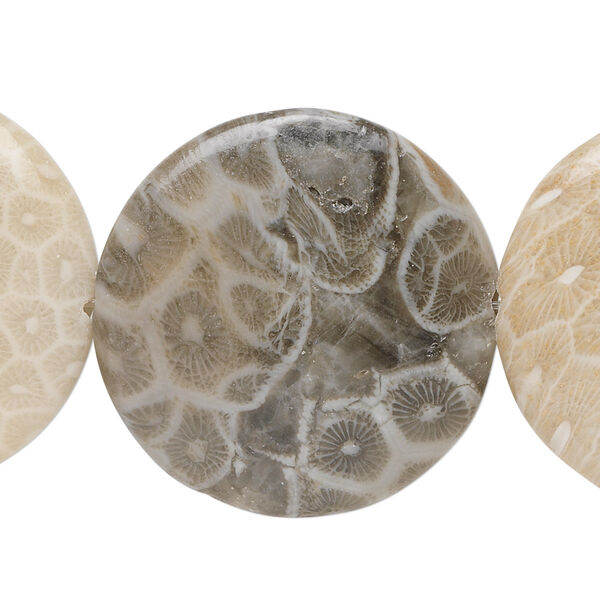 Fossil coral 1pkg1, flat round bead natural 15.5-16 inch 30mm image number 0