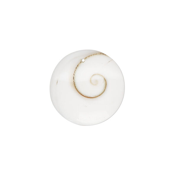 Drop, tapestry turban shell (assembled), white and black, 20mm round with flat back, Mohs hardness 3-1/2. Sold individually. image number 0