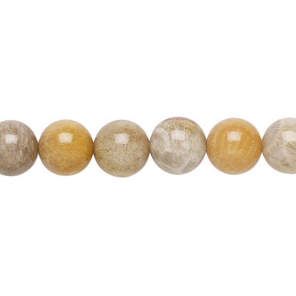 Indonesian fossil coral 1pkg1, round bead natural 15.5-16 inch 8mm image number 0