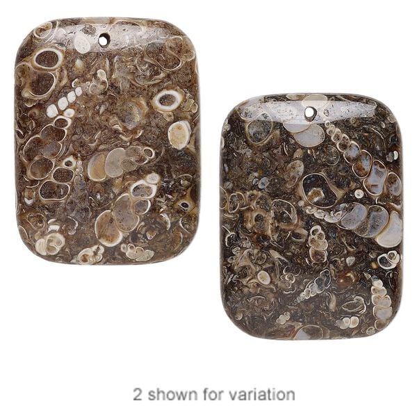 Turritella agate 1pkg1, puffed rectangle focal 40x30mm image number 0