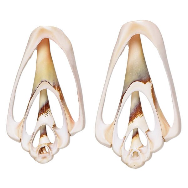 Component, red-lipped conch shell (natural), 41x22mm-45x26mm hand-cut cross section, Mohs hardness 3-1/2. Sold per pkg of 2. image number 0