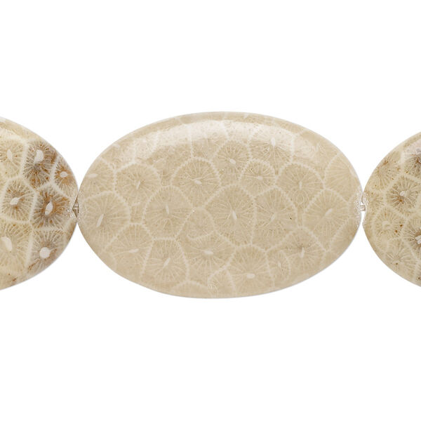 Fossil coral 1pkg1, flat oval bead natural B grade, 15.5-16 inch 30x20mm image number 0